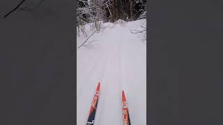 Лыжная стрела 15 кл.