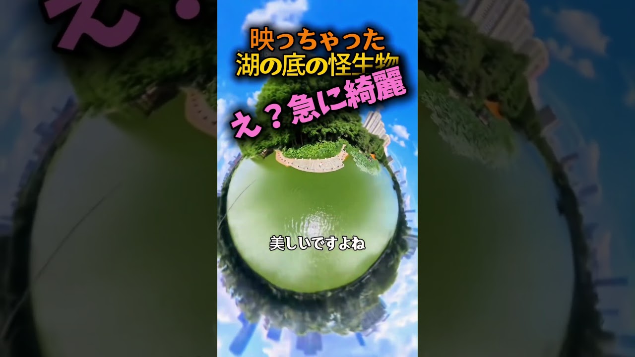 湖の底に、“何か”映ってるんだが…