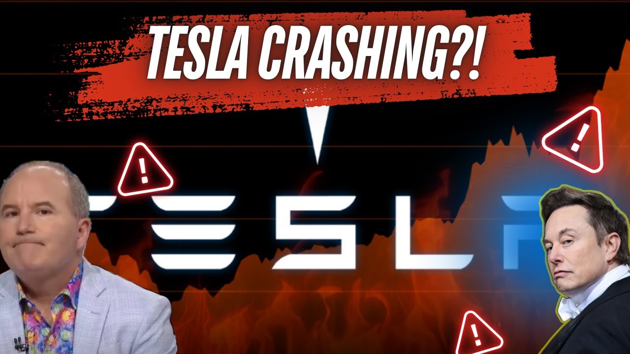TESLA CRASHING?! 🔥 Dan Ives Still Betting on Elon Musk! - YouTube