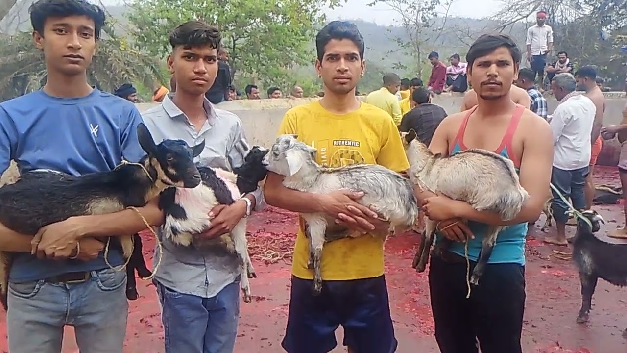 21 फ़रवरी 2026