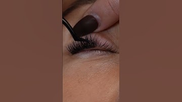 Lash With Me 👀❤️ #diylashes #lashes #beautyhacks #athomelashes #lashextensions #easyfanlashes