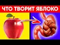 ВОТ ЧТО ТВОРИТ ЯБЛОКО! (Реальная Польза и Вред Яблок)