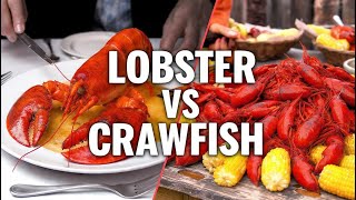 Lobster vs Crawfish: What’s the REAL Difference? Crawfish Vs Langoustine
