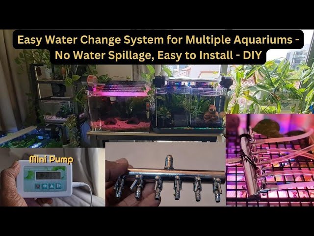 Water-Change IN-OUT kit changement d'eau aquarium facile - AQUARIFT