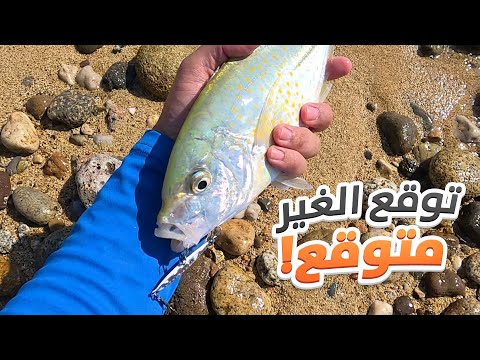 صيد الالترا لايت يفاجئك دائما