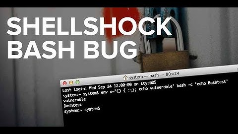 Shellshock BASH BUG exploitation
