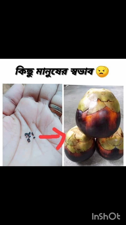 #nei kam to koro hari naam#funnyvideo #funnyshorts #anupamaserial #behad#maya