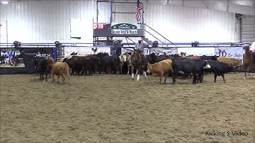 TOUSHAY 2018 Red Roan Gelding by Meteles Cat Shown By Scott Amos