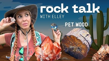 ROCK Talk MY favorite FOSSIL  - Petrified wood  one take minerals #rocktalk #geology