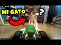 🤣 mi GATO reacciona a MARIO KART Live Home Circuit de Nintendo SWITCH