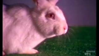 Pay 'N Save Commercial 1992