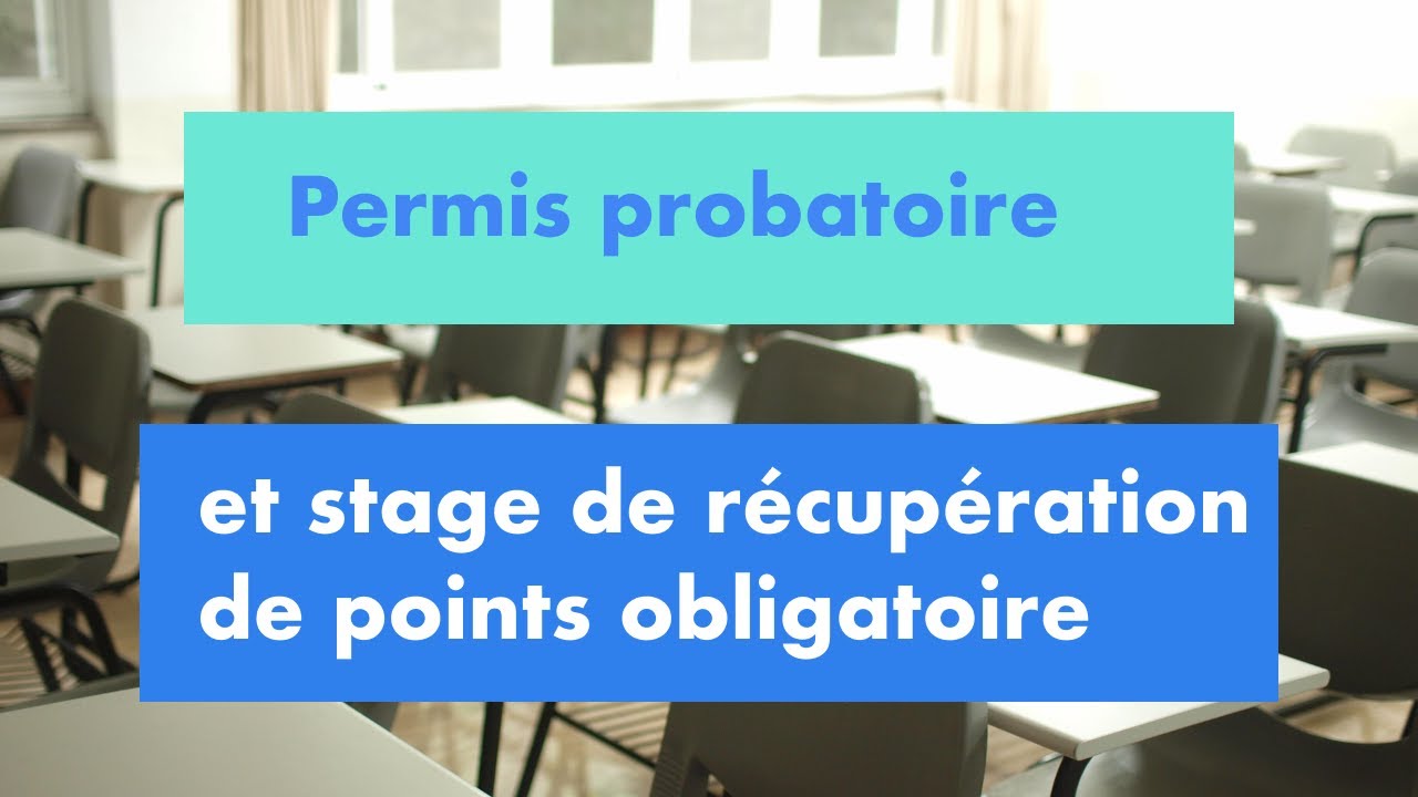 Permis probatoires : ding dong vous devez faire un stage !