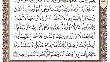 سورة البقرة  من الصفحة ٣٢ الى ٤١