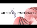 Capture de la vidéo John Adams | Interview | Musikverein Wien 2015 | Young Symphony