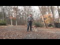 Molly | Treeing Walker Coonhound Puppy Training - Winston Salem NC