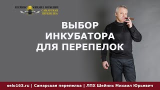 Как я выбирал инкубатор для перепелок