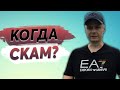 💥 Хайп проекты // Как понять когда будет СКАМ 💥