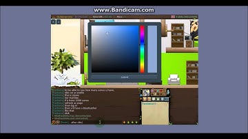 How to change your Shaman