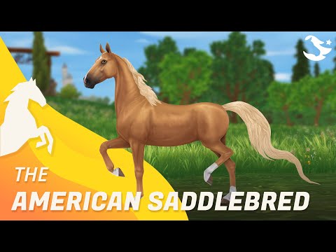 American Saddlebred ✨ | Star Stable Horses