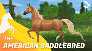 American Saddlebred ✨ | Star Stable Horses