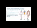 Human Models And Bioelectromagnetic Simulations E Seminar Sneak Peak Human Models And Bioelectromagnetic Simulations E Seminar Sneak Peak