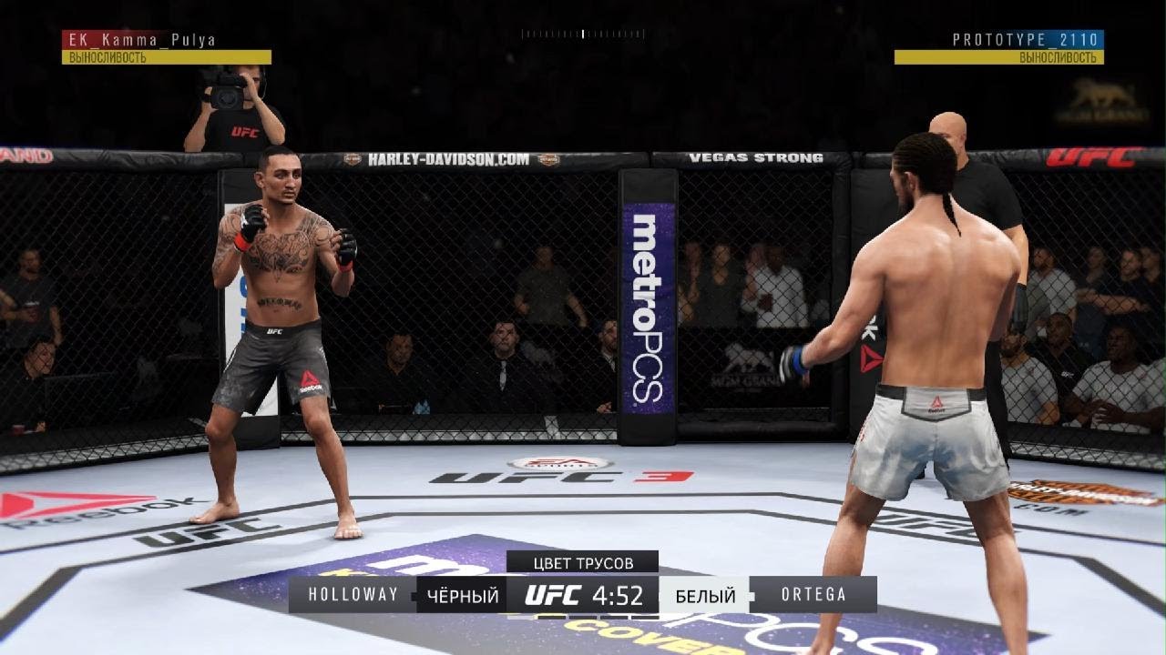 4 бой Ek_Kamma_Pulya UFC 3