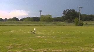 RRT Versa-Launch Remote Launcher / Retriev-R-Trainer