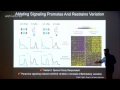 Shalek A (2015): using single-cell transcriptomics to explore cellular identity and behaviours