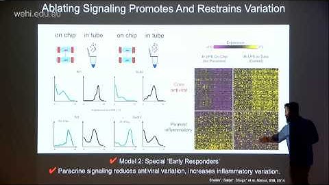 Shalek A (2015): using single-cell transcriptomics to explore cellular identity and behaviours