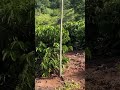 Sítio beira tio top demais
