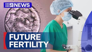 Experts harness AI to enhance IVF success | 9 News Australia