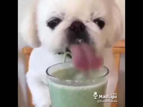 ¡Vaya ricu que ta el mojito!