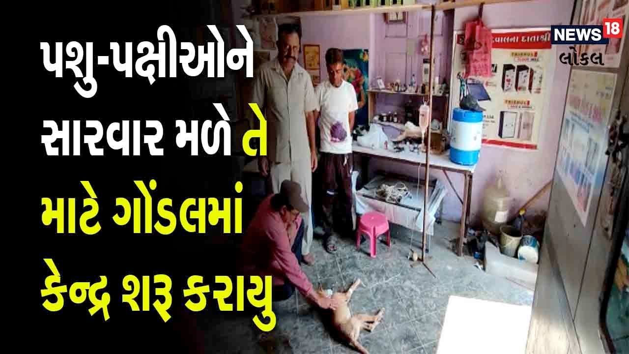Gondal | ઘાયલ પશુ-પક્ષીઓ માટે ગોંડલમાં કેન્દ્ર શરૂ | Save Birds | Animal Help Center 