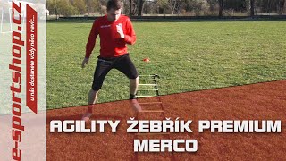 e-sportshop.cz - Agility žebřík Premium