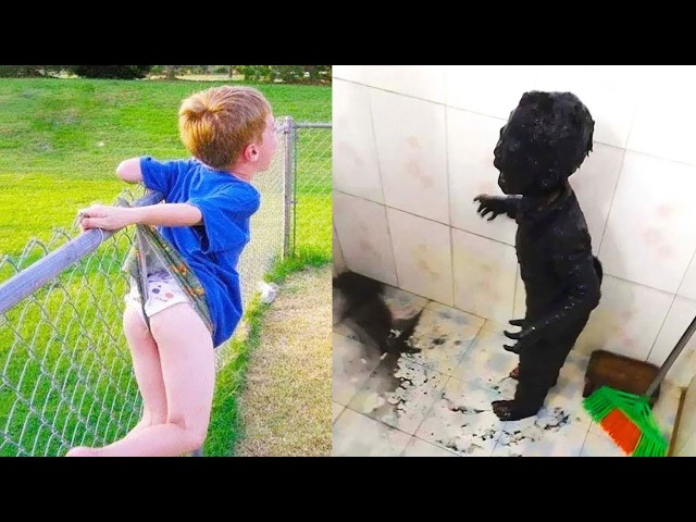 Crazy Funniest Videos Ever In The World🤣 (try not to laugh )