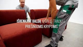 Modulinio Baldo Que Surinkimas Lauksva