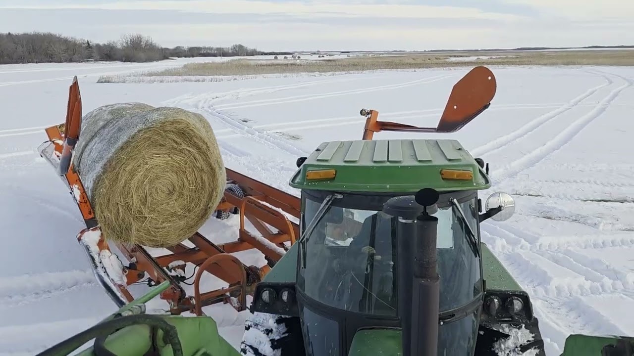 Winter picking... AGAIN 2026