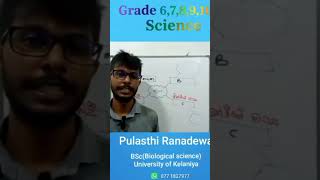 #class #education #online #lerning #maths #biology #විද්යාව #olevel #school #teacher #technology