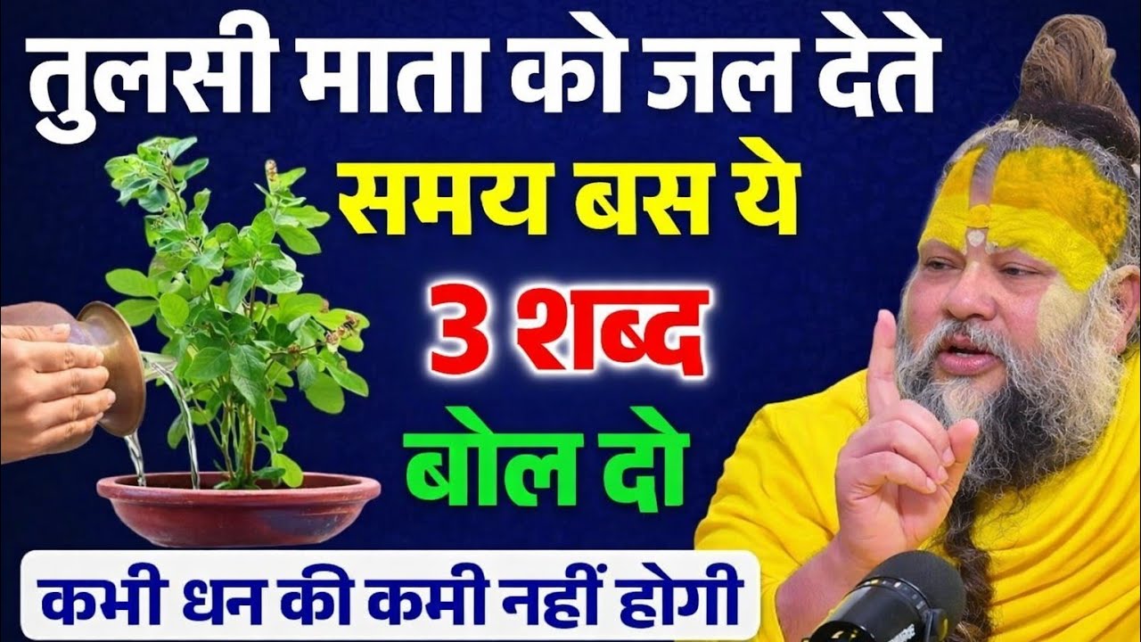 तुलसी माता को जल देते समय ये 3 शब्द ज़रूर बोलें, धन और सौभाग्य की प्राप्ति होगी।