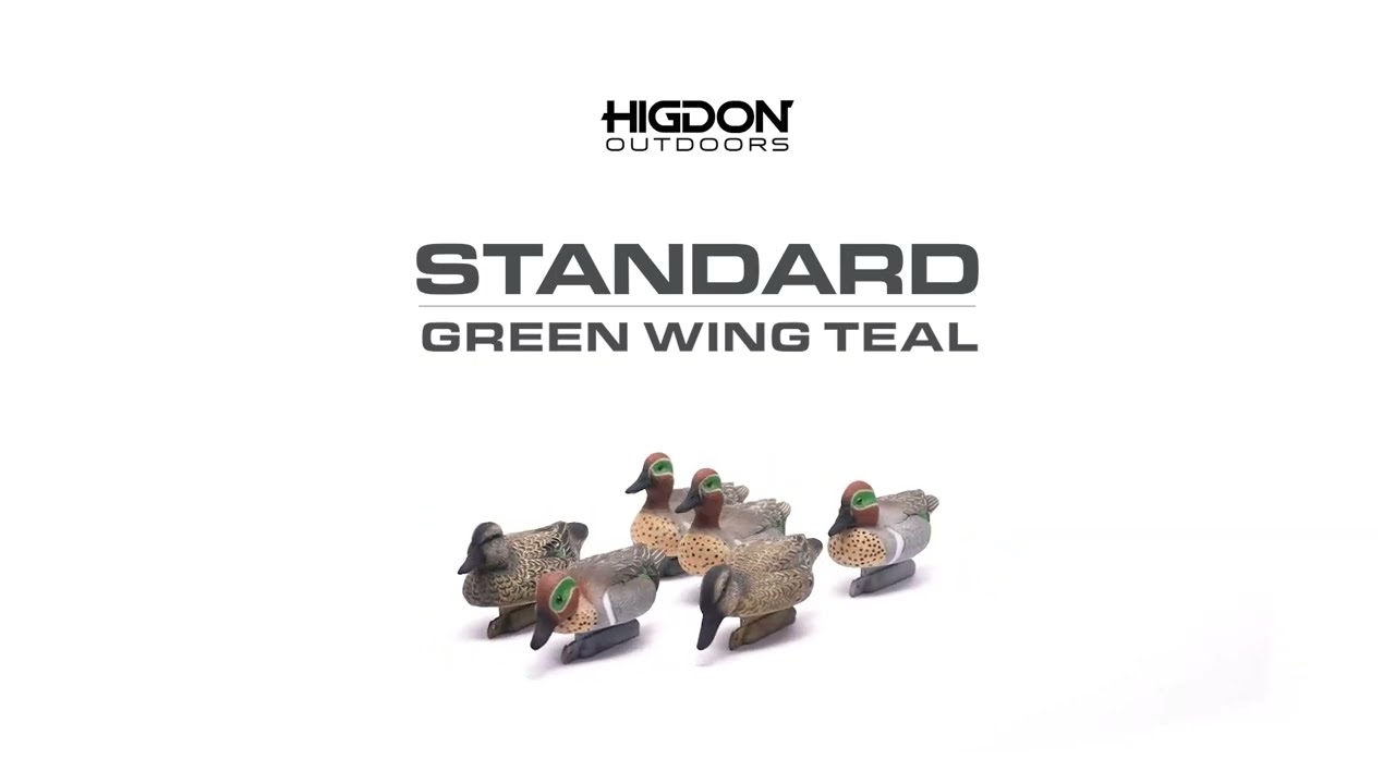 Higdon Standard Green Wing Teal Duck Decoy – Higdon Outdoors