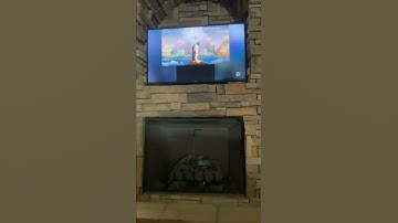 XXX (2002) - TNT Intro