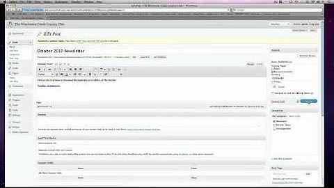 Password Protect a Post in Wordpress