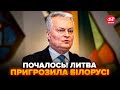 ⚡НЕГАЙНА ЗАЯВА Литви! Різка РЕАКЦІЯ на військові навчання у Білорусі. Пригрозили НЕОЧІКУВАНИМ