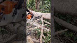 Cortando leña con motosierra Stihl 382 💪🔥 #chainsaw #sthil #asmr #madera #woodworking