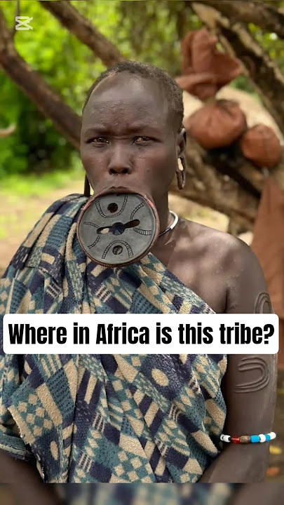 where in Africa is this tribe found, can you guess? #africa #viral #viralvideo #nature #wildlife