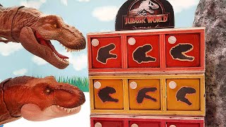 Dinosaurs In Mystery BOX! Tyrannosaurus, Indominus Rex