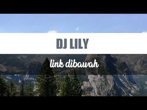 dj-lily-(alan-walker)
