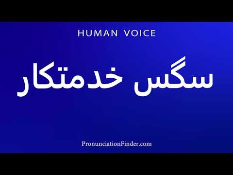 كيف تنطق سجس خاصقار