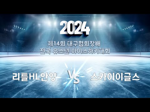 제14회 대구협회장배 전국 유소년 아이스하키대회리틀HL안양vs스카이이글스 경기하이라이트 #hockey #하키