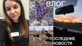 Уволилась с Яндекса| Новая работа| Первые деревья 🌳 минимум вязания